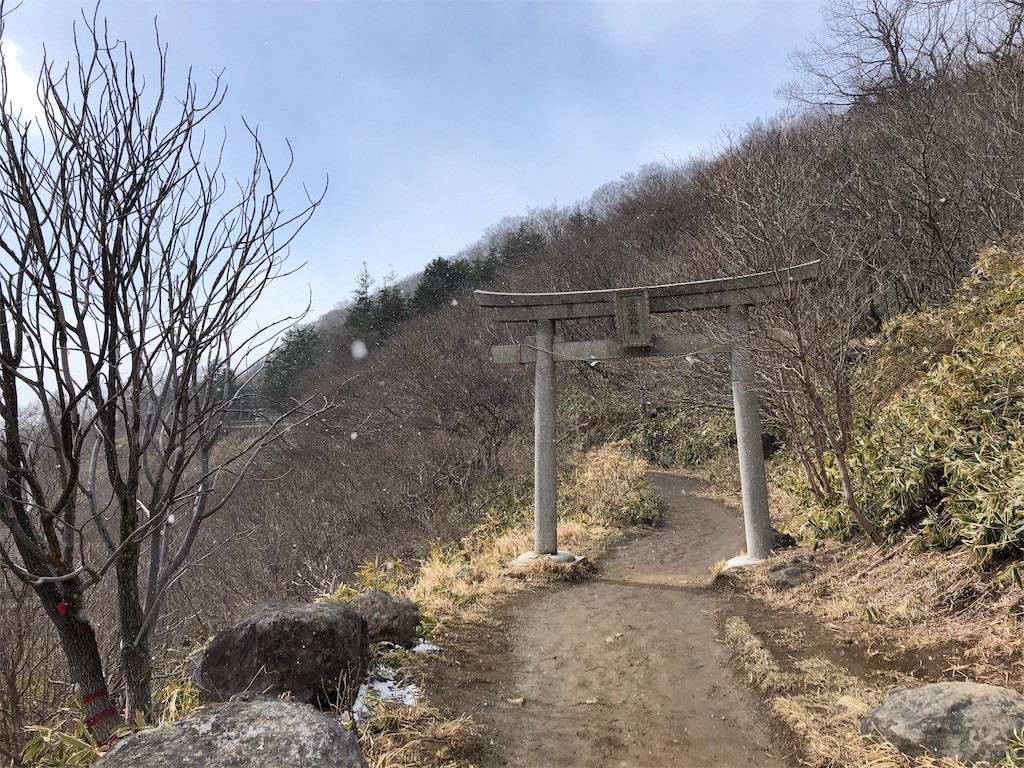 f:id:ch3cooh393:20190324105308j:image