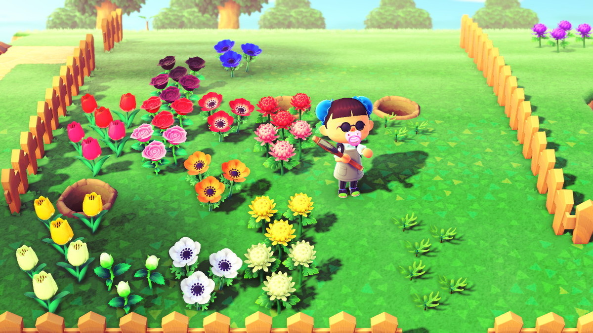 f:id:ch3cooh393:20200614172826j:plain