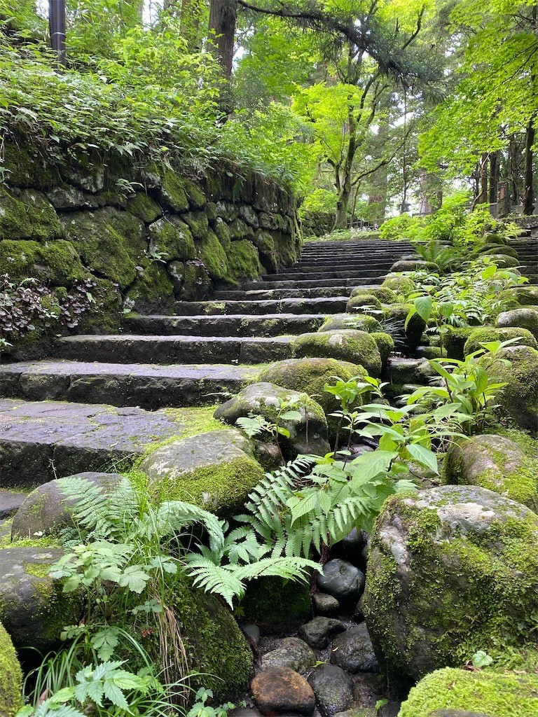 f:id:ch3cooh393:20200620152716j:plain