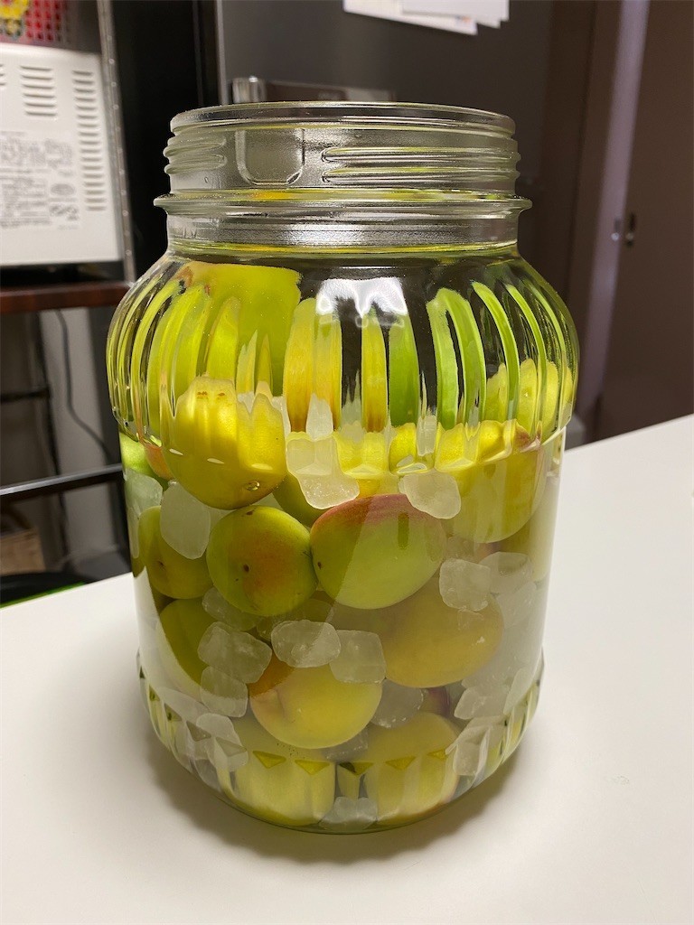 犬の散歩をしていたら梅を貰ったので梅酒を漬けた 酢ろぐ