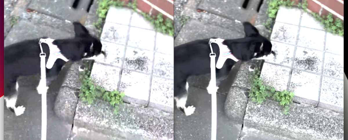 f:id:ch3cooh393:20220306123934p:plain