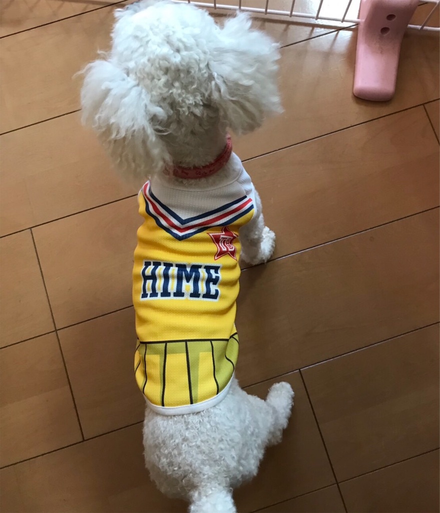 f:id:ch4c01:20190917213152j:image