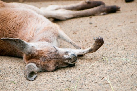 f:id:ch_mage:20131027191005j:plain