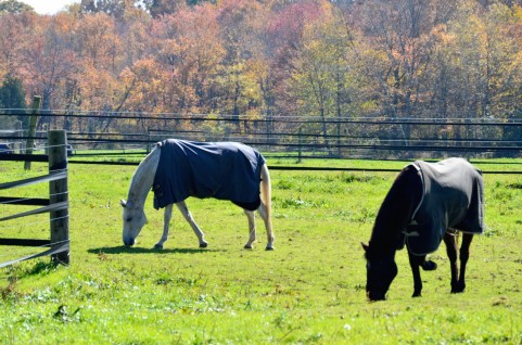 f:id:ch_mage:20131201171029j:plain