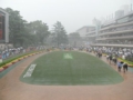 [競馬]2009-05-31 大雨の東京競馬場 パドック