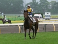 [競馬]2009-05-31 日本ダービー ロジユニヴァース ウイニングラン