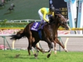 [競馬][安田記念][ウオッカ]2009-06-07 第59回安田記念（GI） ウオッカ