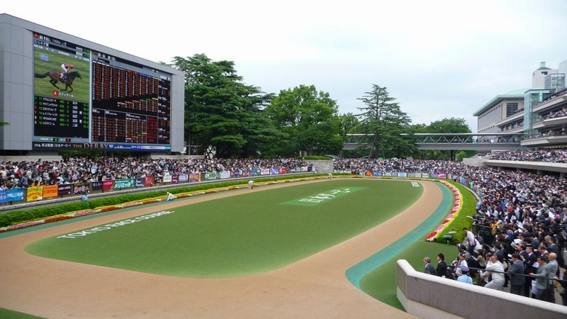 2010-05-30 東京競馬場 日本ダービーパドック