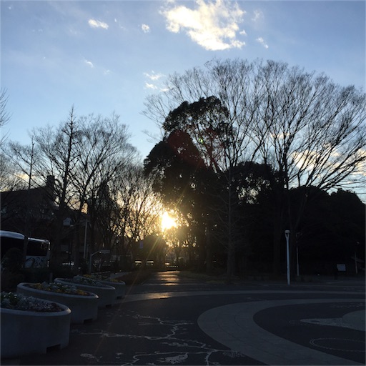 f:id:chabby_mitarashi:20170124213633j:image f:id:chabby_mitarashi:20170124213633j:image