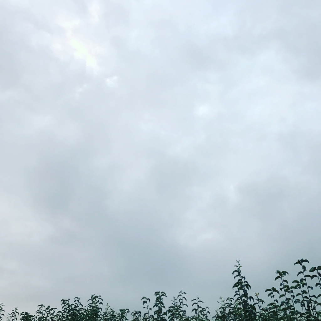 f:id:chabby_mitarashi:20170824220802j:plain