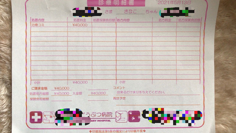 f:id:chabudaikun:20210607211933j:plain