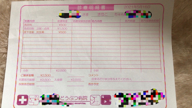 f:id:chabudaikun:20210607211936j:plain