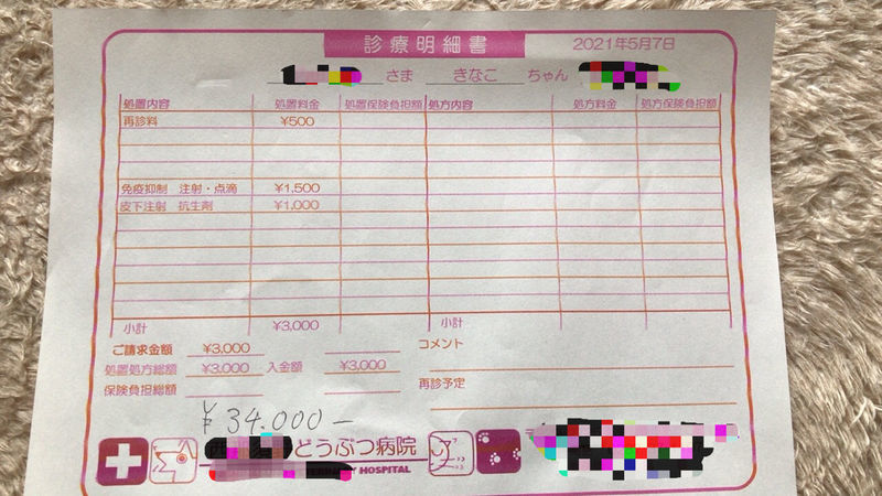 f:id:chabudaikun:20210607211938j:plain