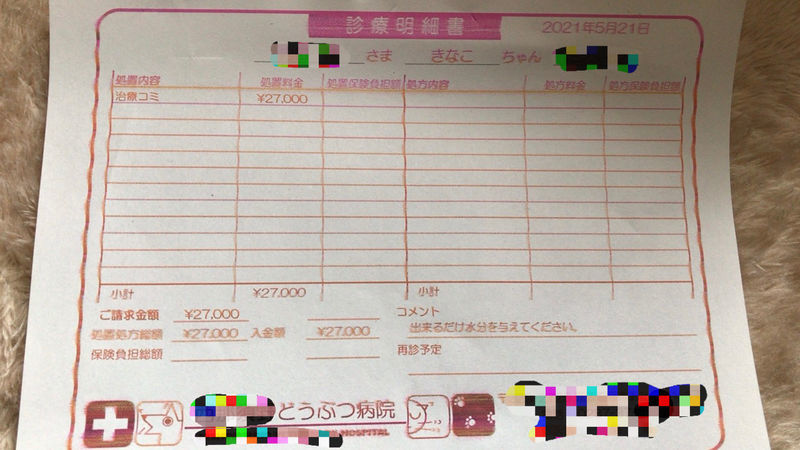 f:id:chabudaikun:20210607211941j:plain