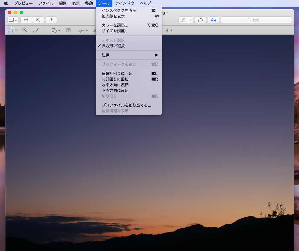 f:id:chacha-cat:20210531160407p:plain