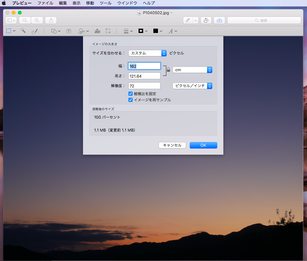 f:id:chacha-cat:20210531160650p:plain