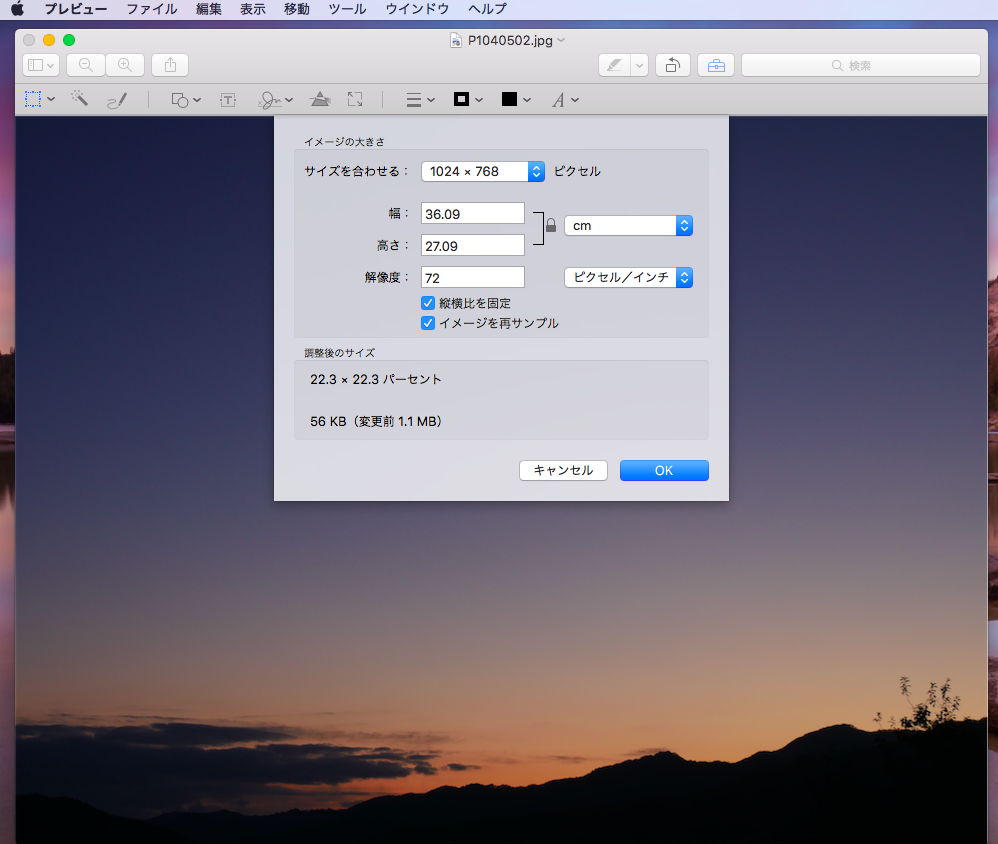 f:id:chacha-cat:20210531162055p:plain