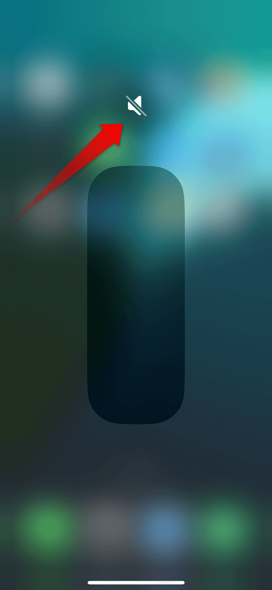 何故かミュートになっていた画面