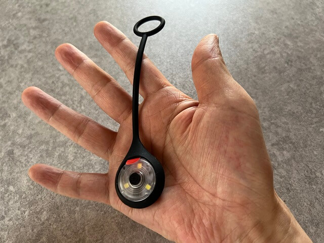 100均のセリアで売っているストラップライトを持っているところ