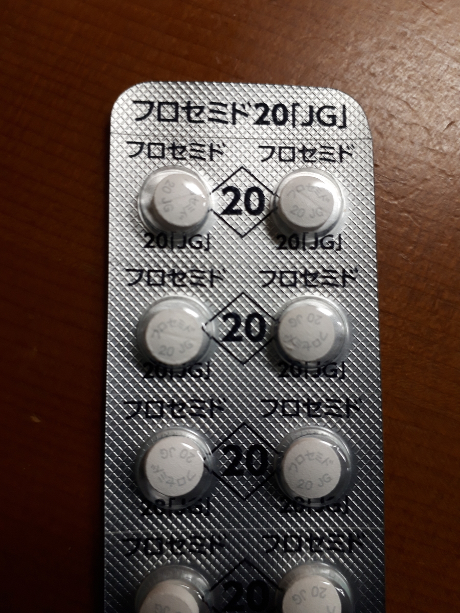 f:id:chachachaikiikito:20200302185605j:plain