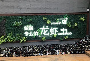 f:id:chachan-china:20181213083209j:plain