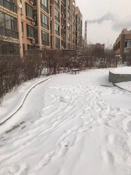 f:id:chachan-china:20210116073242j:plain