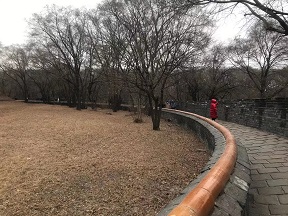 f:id:chachan-china:20210216020813j:plain