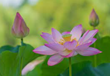 f:id:chachan-china:20210630134428p:plain