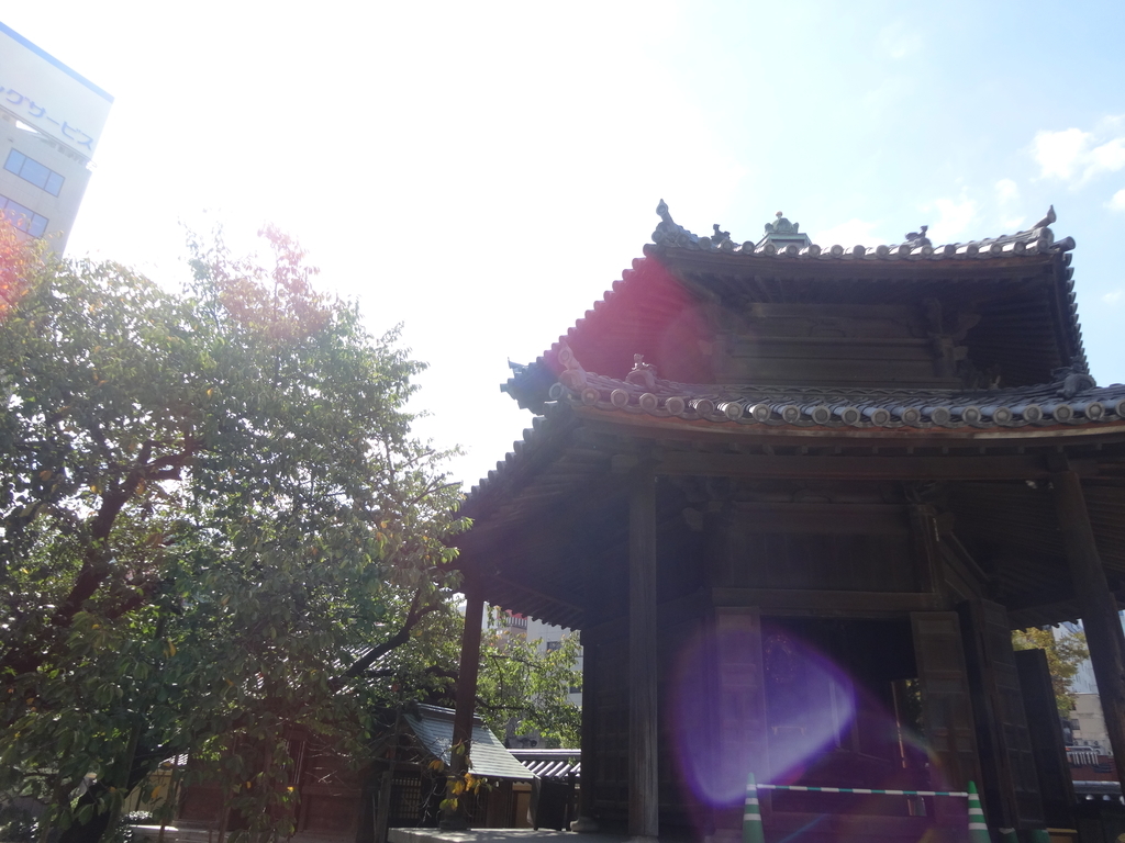 f:id:chachapan:20181012145653j:plain f:id:chachapan:20181012145653j:plain