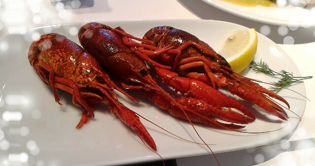 f:id:chacomama:20160901082358j:image f:id:chacomama:20160901082358j:image