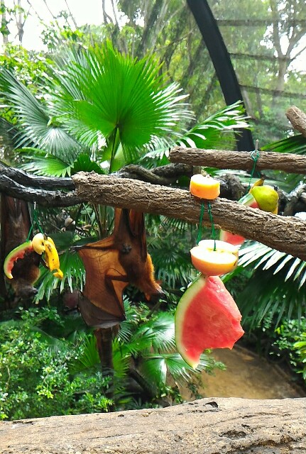 f:id:chacomama:20161216134402j:image f:id:chacomama:20161216134402j:image