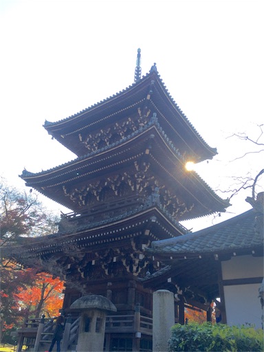 f:id:chacorinu24:20151201122244j:image f:id:chacorinu24:20151201122244j:image