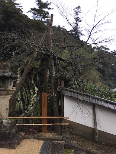 f:id:chacorinu24:20170105133818j:image