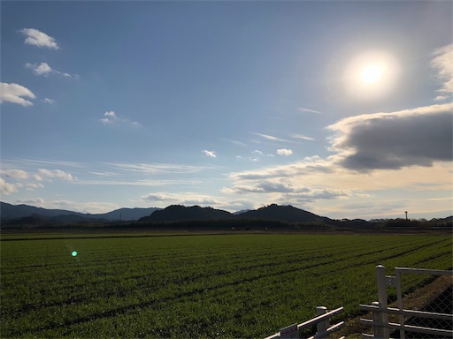 f:id:chacorinu24:20190104143922j:image f:id:chacorinu24:20190104143922j:image