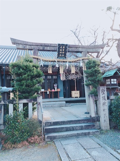 f:id:chacorinu24:20190104144548j:image f:id:chacorinu24:20190104144548j:image