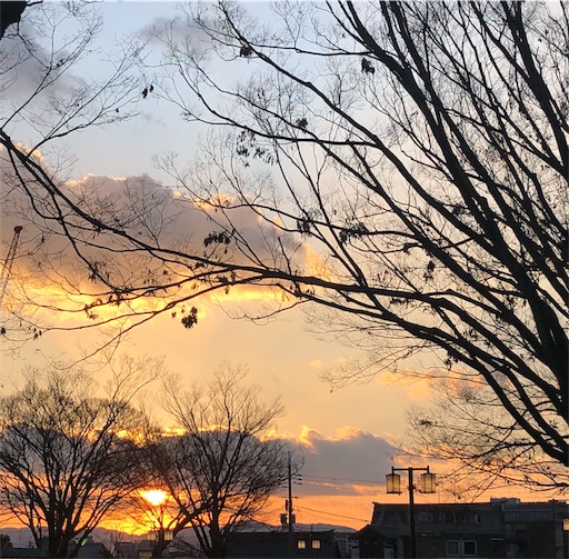 f:id:chacorinu24:20190124195808j:image f:id:chacorinu24:20190124195808j:image