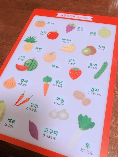 f:id:chacorinu24:20190222224025j:image f:id:chacorinu24:20190222224025j:image