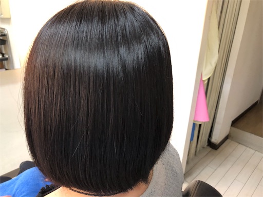 f:id:chacorinu24:20190929231607j:image