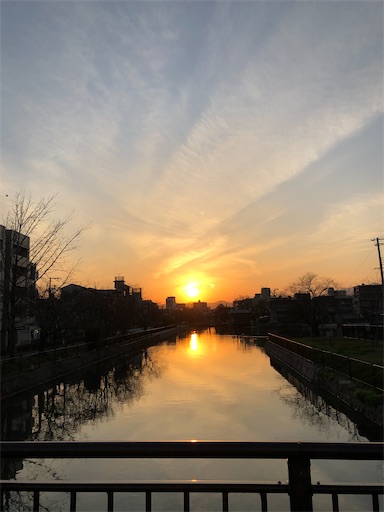 f:id:chacorinu24:20200320133852j:image