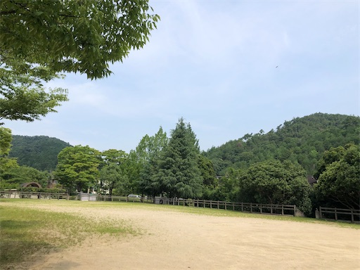 f:id:chacorinu24:20200721121230j:plain
