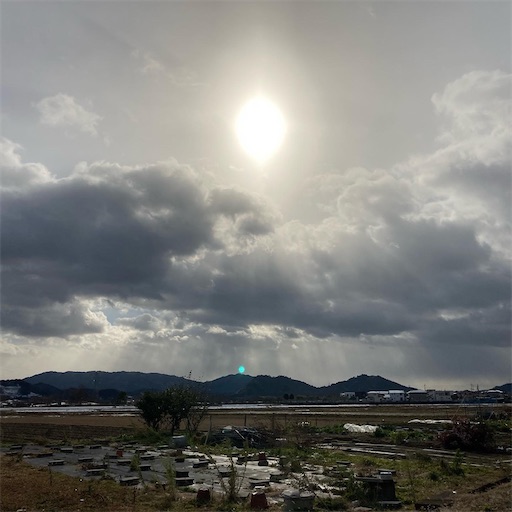 f:id:chacorinu24:20210103112851j:image