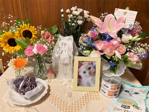 f:id:chacorinu24:20221008102740j:image f:id:chacorinu24:20221008102740j:image