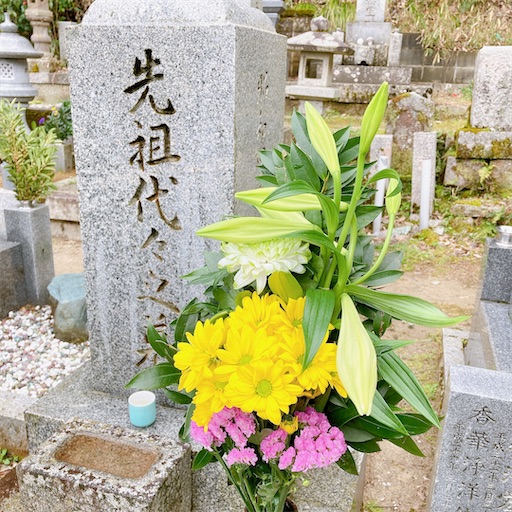f:id:chacorinu24:20230405103456j:image