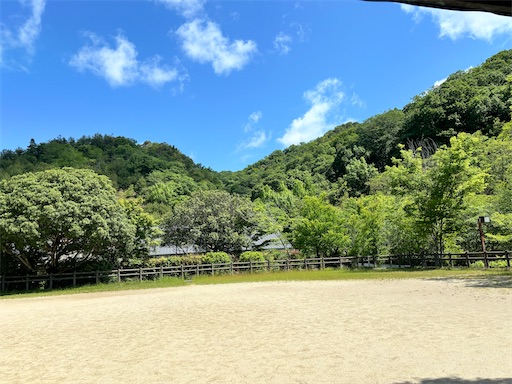 f:id:chacorinu24:20240522090808j:image