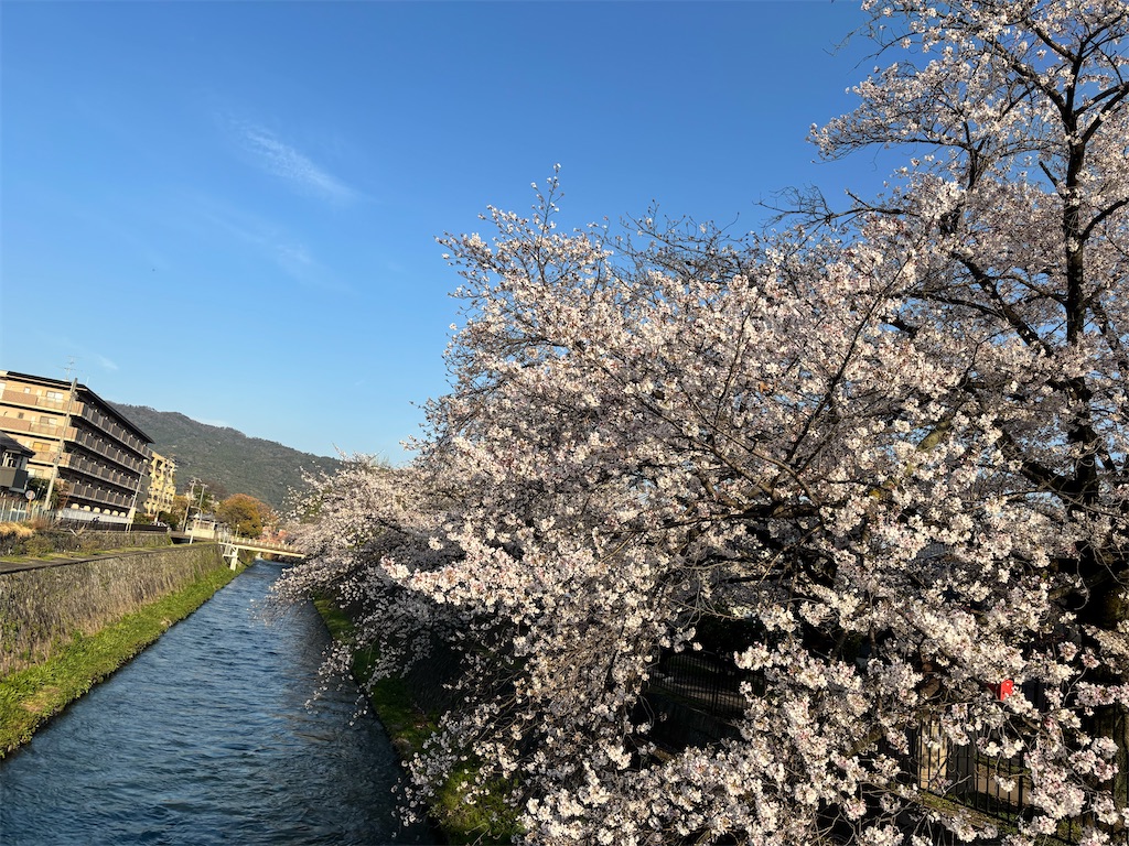 f:id:chacorinu24:20260409221709j:image