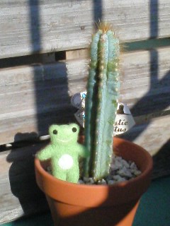 f:id:chafoo:20091012152111j:image