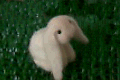 20100112094638