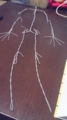 20100117175804