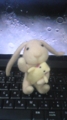 20100201133804