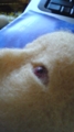 自作めんたま失敗の記録